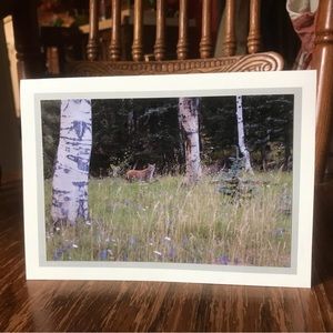 🐱🌾Blank Notecards (set of 2)